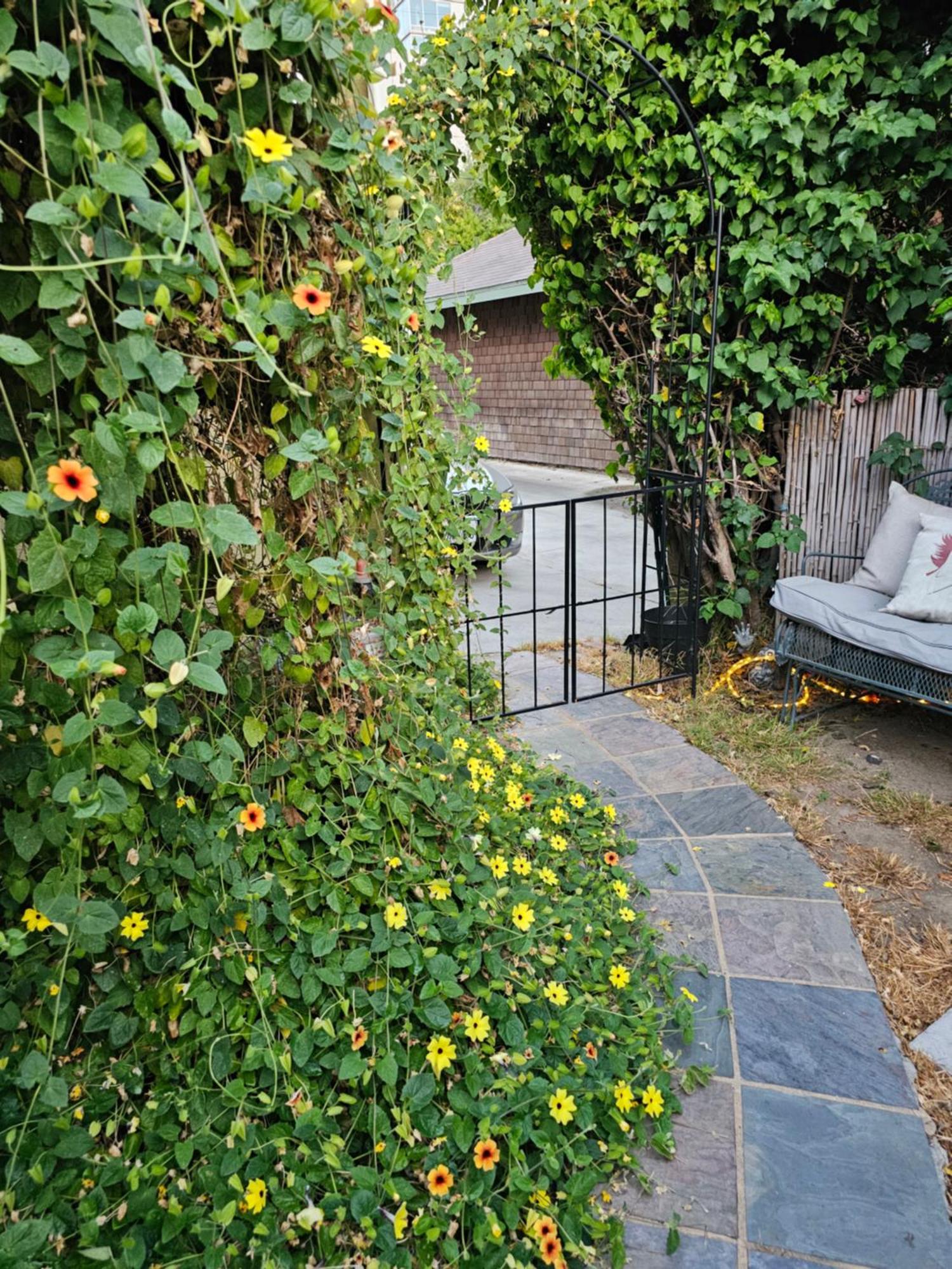Séjour chez l'habitant Tranquility At The House Of Alchemy Hollywood Los Angeles